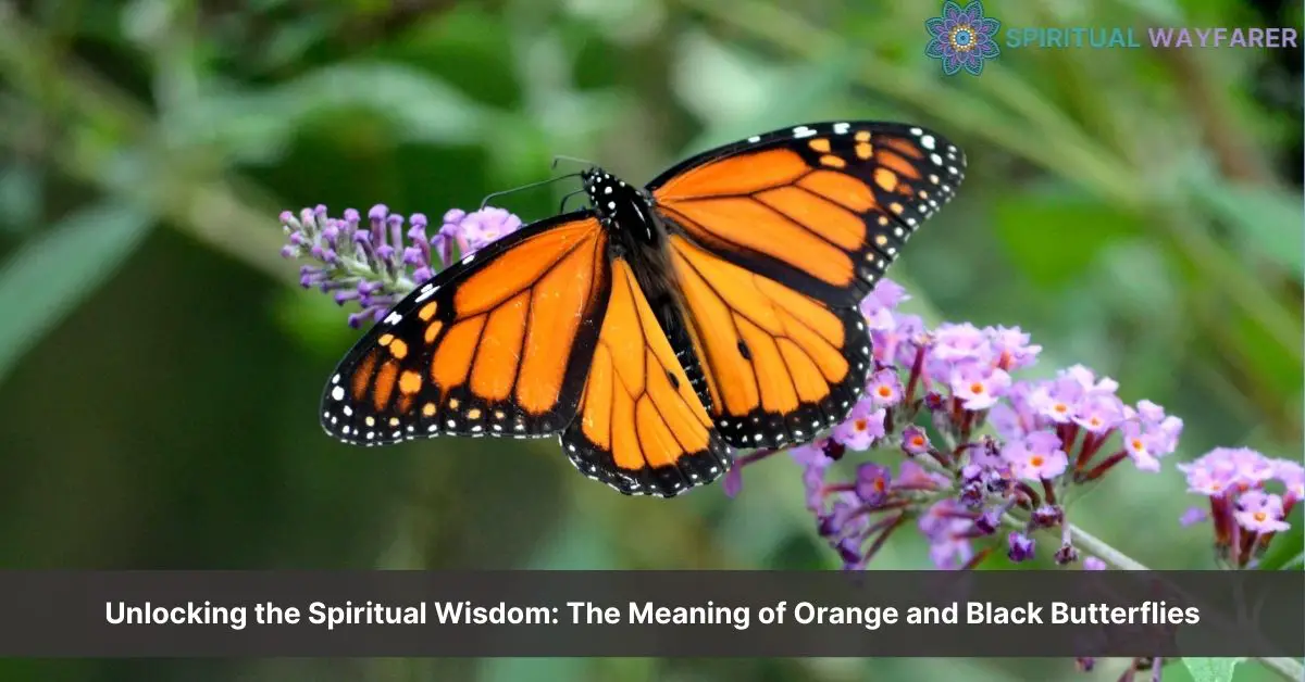 orange and black butterfly spiritual meaning