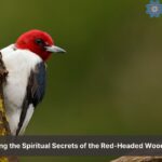 red headed woodpecker spiritual meaning