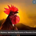 rooster crowing at night spiritual meaning