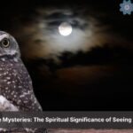 seeing an owl at night spiritual meaning