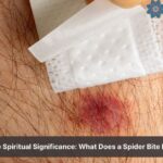 spider bite spiritual meaning