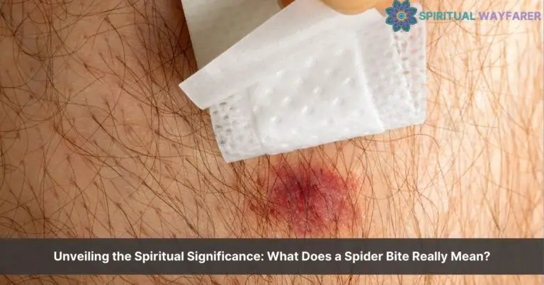 spider bite spiritual meaning