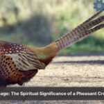 spiritual meaning of a pheasant crossing your path