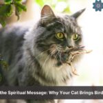 spiritual meaning of cat bringing bird