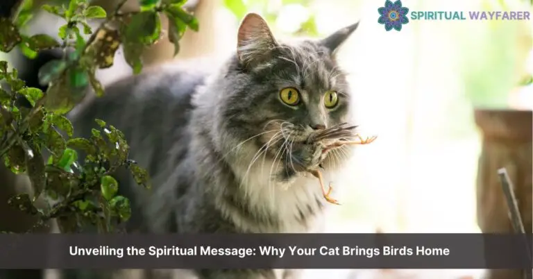 spiritual meaning of cat bringing bird