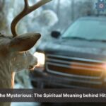 spiritual meaning of hitting a deer