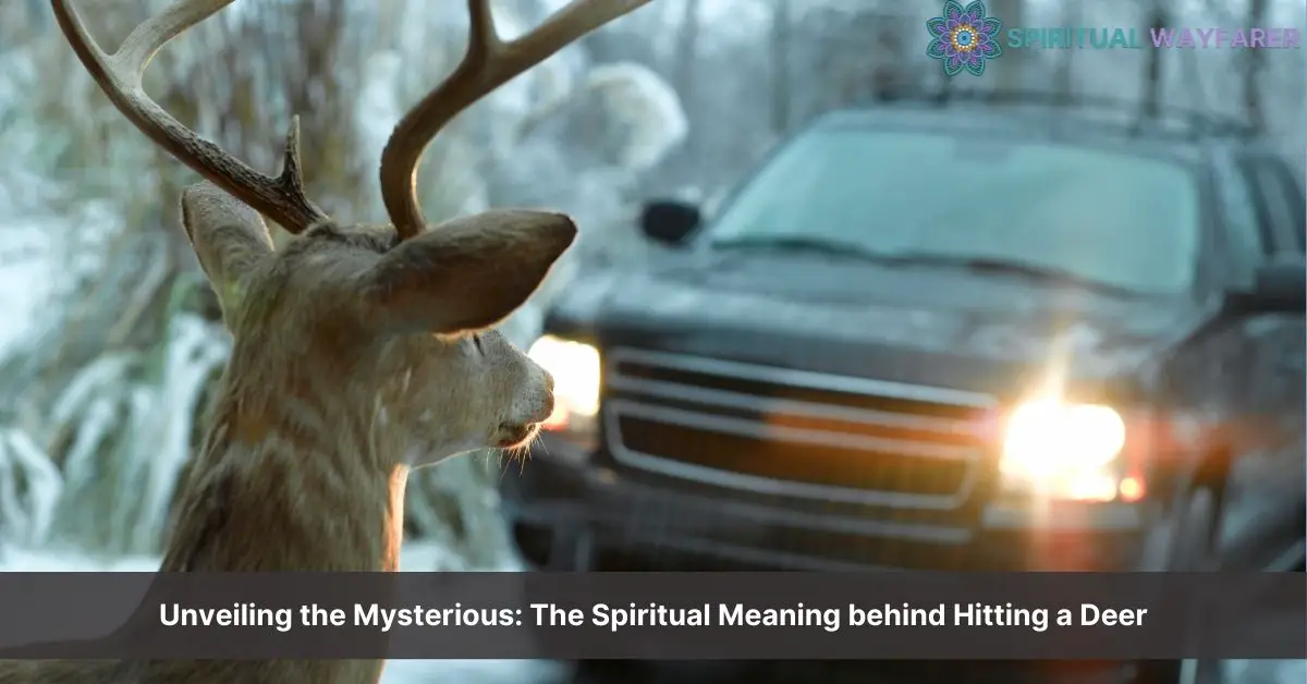 spiritual meaning of hitting a deer