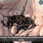 spiritual meaning of worms in house