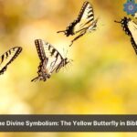 spiritual yellow butterfly meaning in the bible
