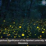 spotted lanternfly spiritual meaning