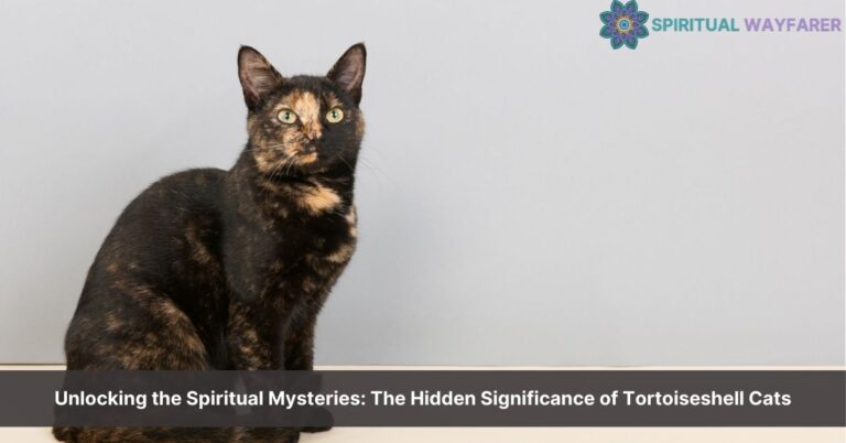 tortoiseshell cat spiritual meaning