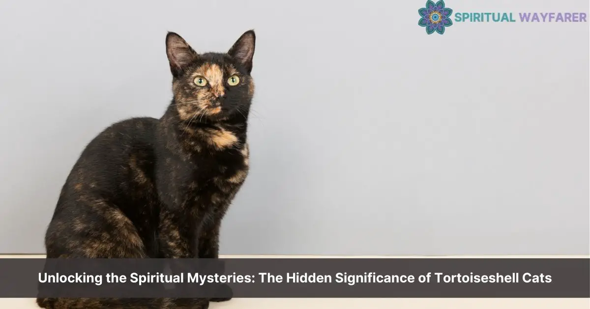 tortoiseshell cat spiritual meaning