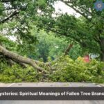 tree branch falling spiritual meaning