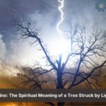 tree struck by lightning spiritual meaning