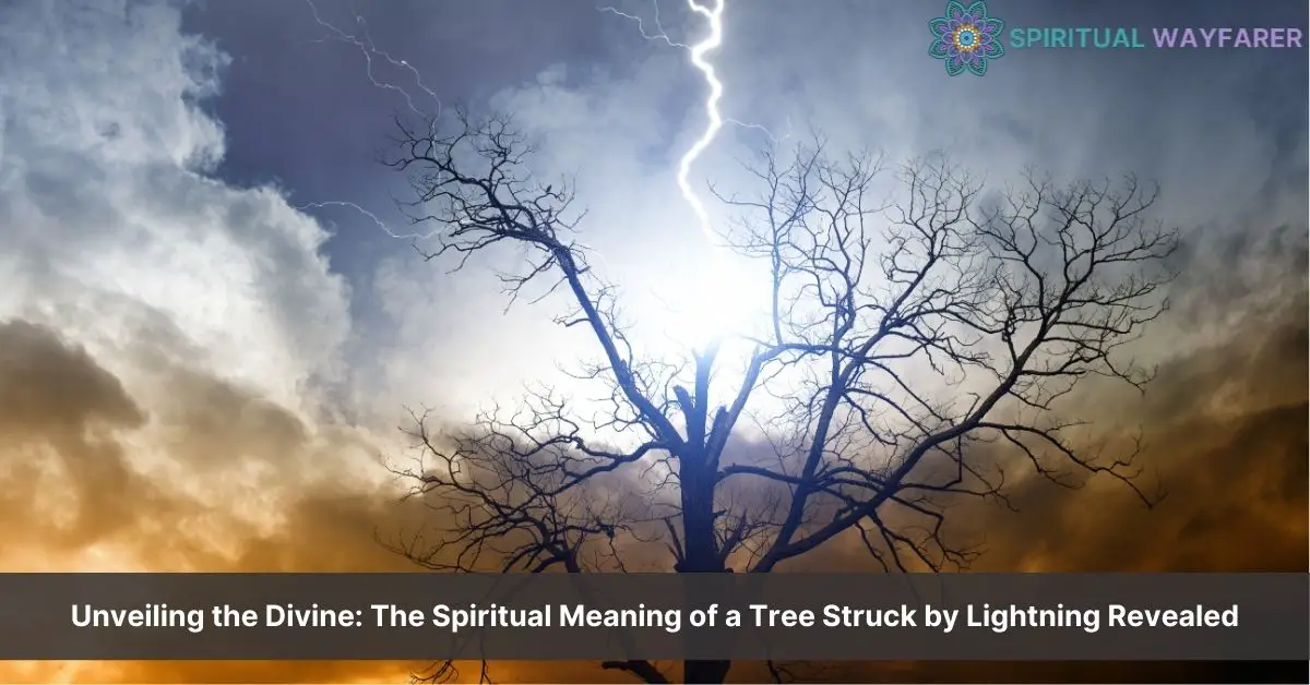 tree struck by lightning spiritual meaning