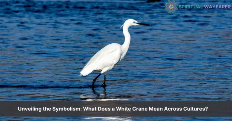 what does a white crane mean