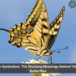 yellow and black butterfly meaning