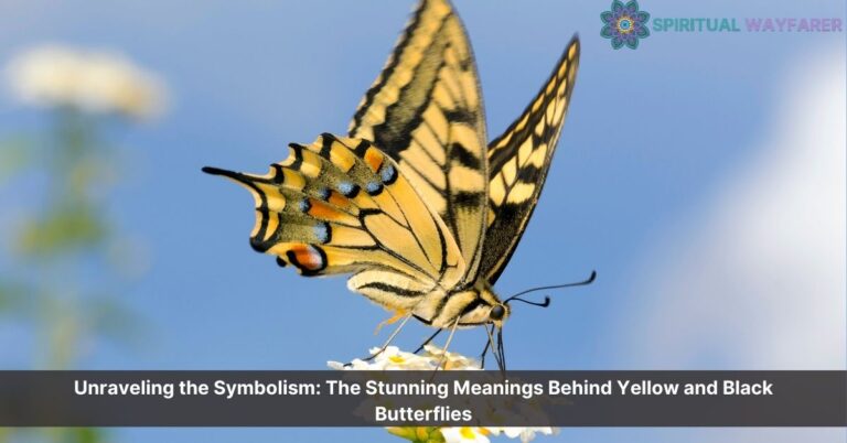 yellow and black butterfly meaning