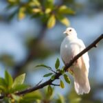 0sA4ZaSWkMO3KNaeFADVp