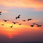 3cW4lpNlZ4 nKr9UTgllO