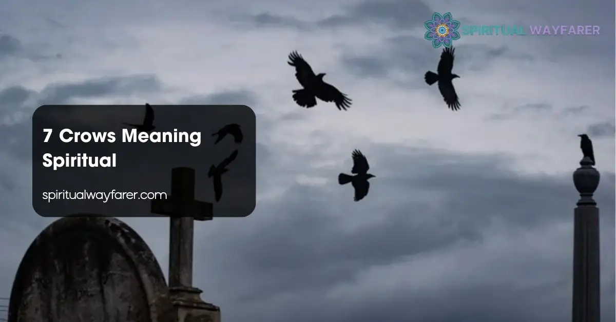 7 Crows Meaning Spiritual