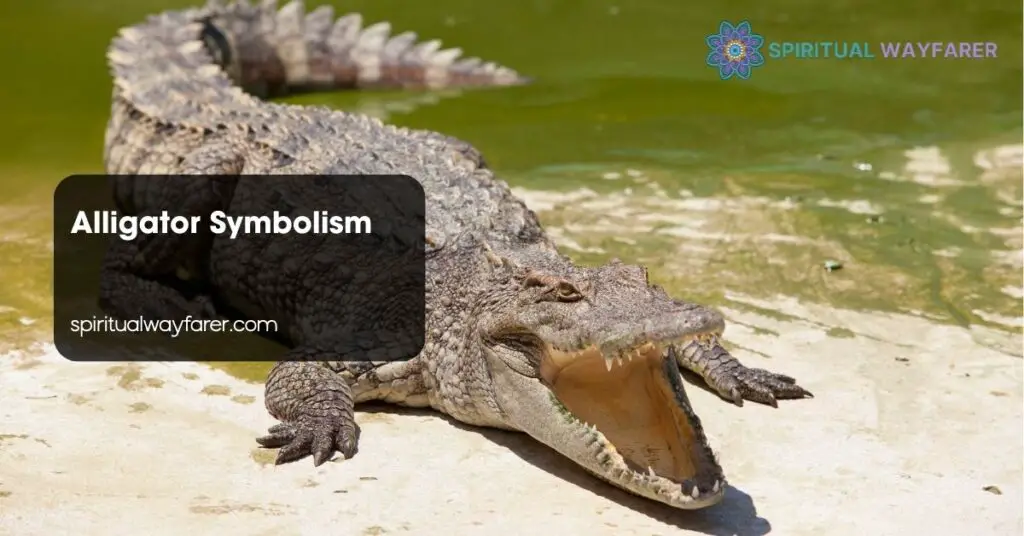 Alligator Symbolism