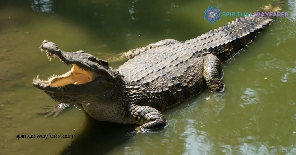 Alligator Symbolism: Discover the Powerful Meanings Across Cultures 2 Alligator Symbolism in Modern Times