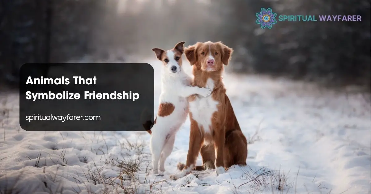 Animals That Symbolize Friendship