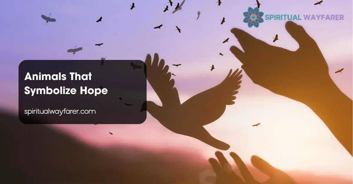 Animals That Symbolize Hope