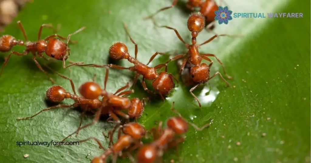 Ant Symbolism Explained: What These Tiny Creatures Teach Us About Life 2 Ants in Literature and Art