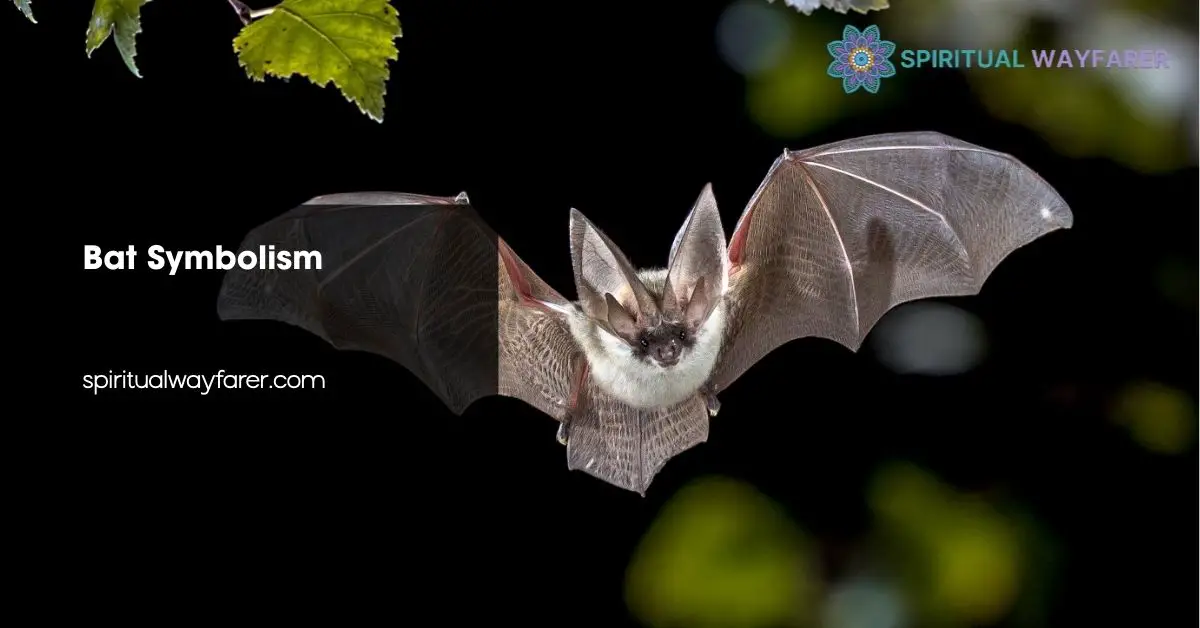 Bat Symbolism