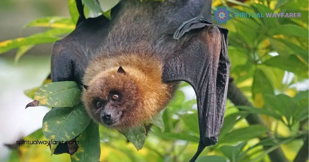 Unveiling Bat Symbolism: Meanings Across Cultures & History 2 Bats in Modern Symbolism