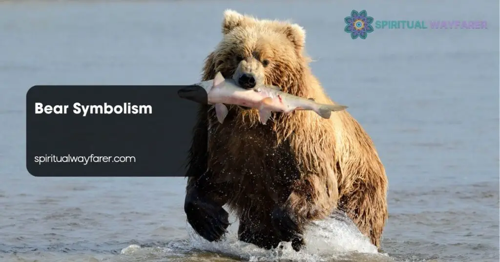 Bear Symbolism