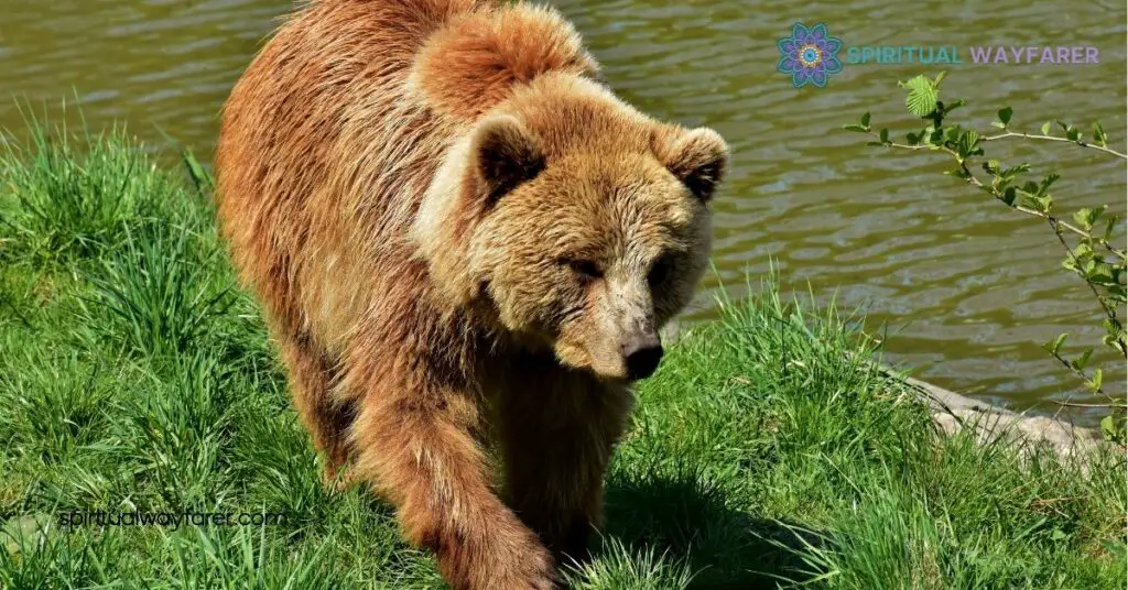 Unveiling Bear Symbolism: Strength, Healing & Cultural Insights 4 Bear Symbolism in Literature and Media
