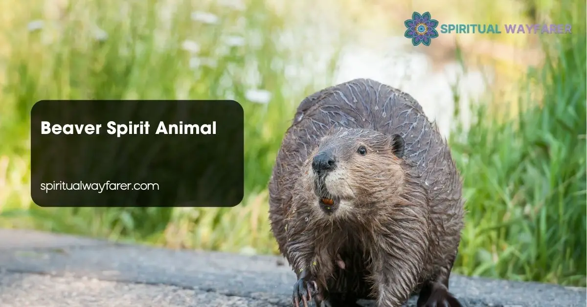 Beaver Spirit Animal