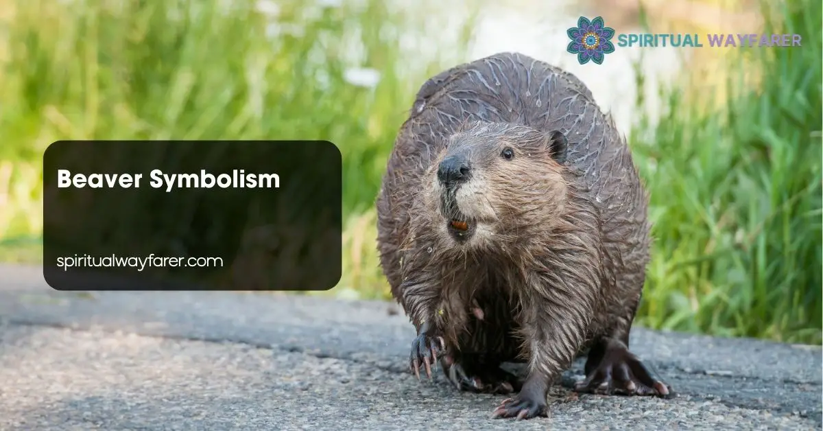 Beaver Symbolism