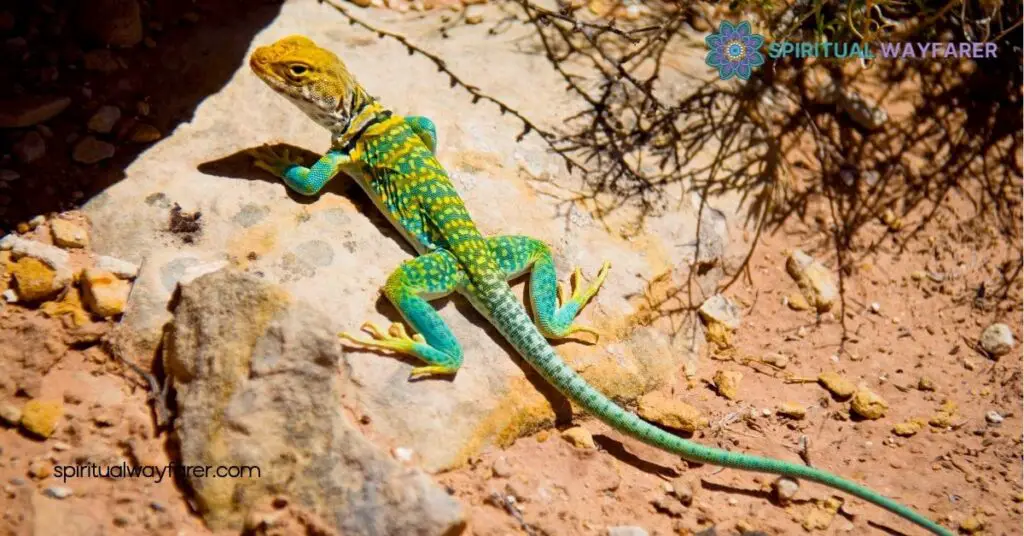 Unlocking the Lizard Spirit Animal Meaning: Transform Your Life with Resilience and Adaptability 3 Benefits of Embracing the Lizard Spirit Animal