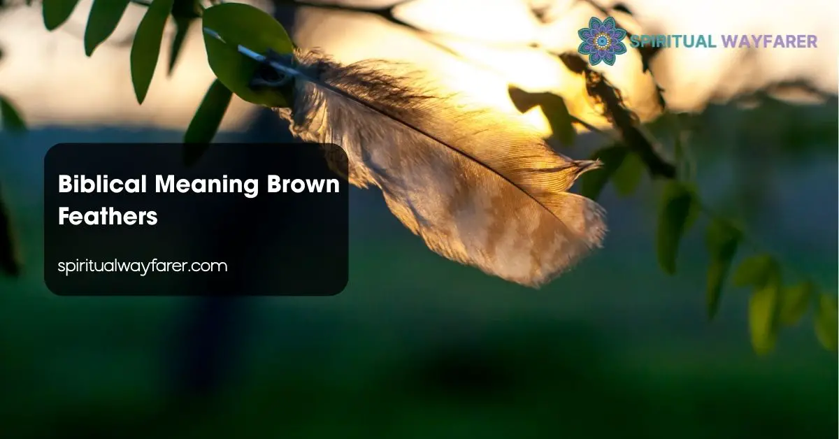 Biblical Meaning Brown Feathers