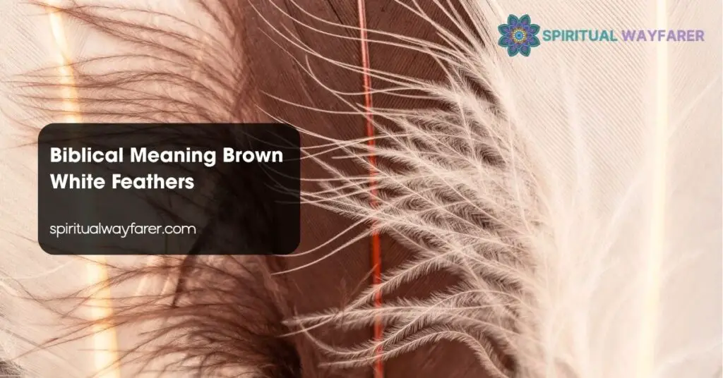 Biblical Meaning Brown White Feathers