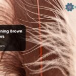 Biblical Meaning Brown White Feathers