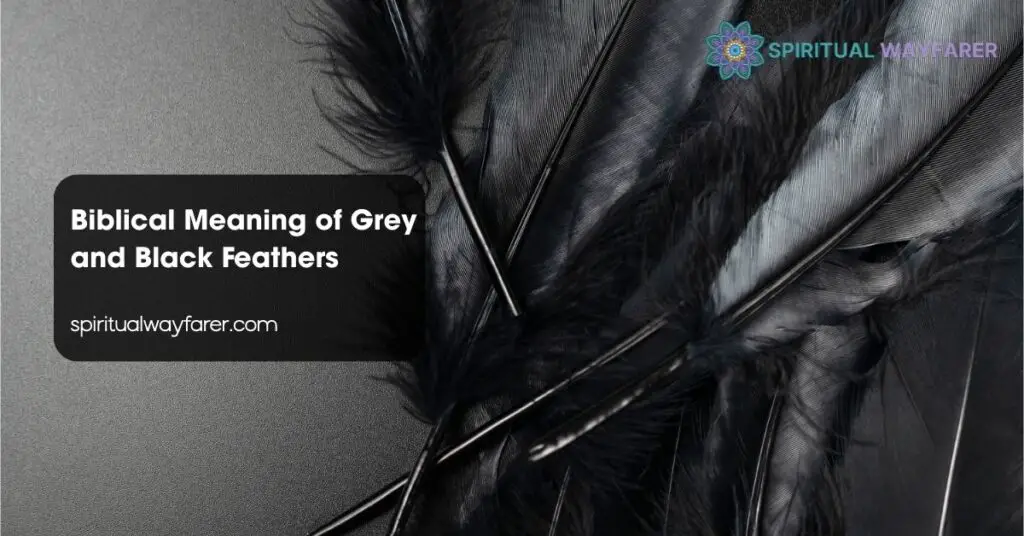 Biblical Meaning of Grey and Black Feathers