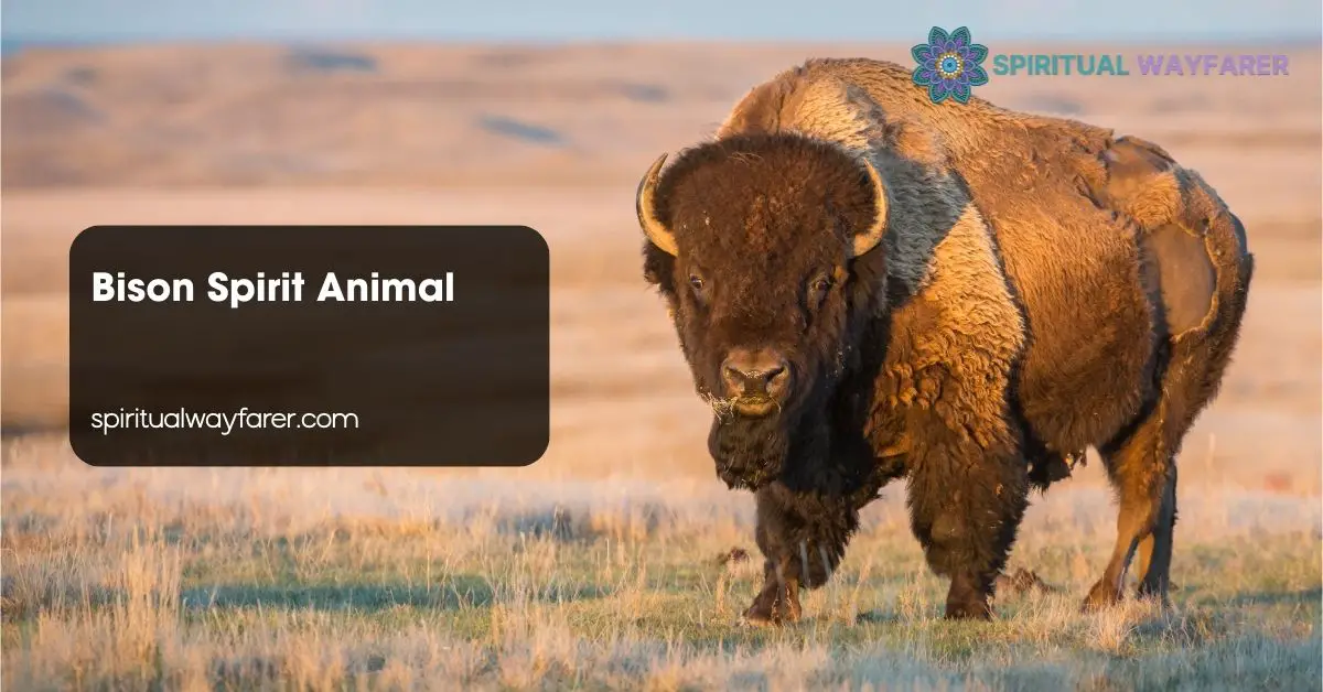 Bison Spirit Animal