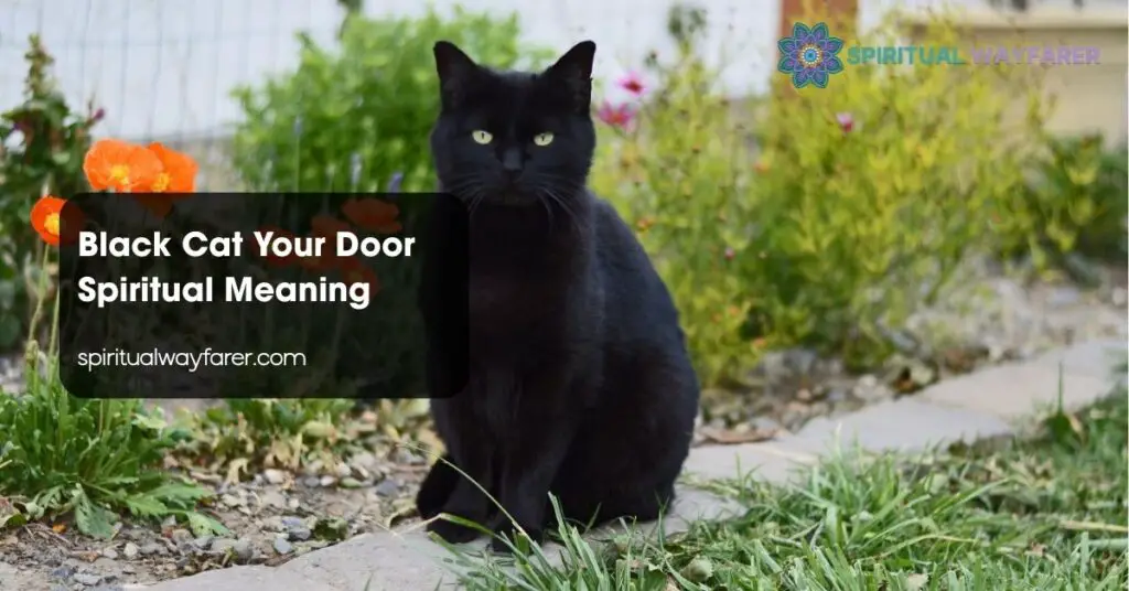 Black Cat Your Door Spiritual Meaning