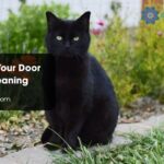 Black Cat Your Door Spiritual Meaning