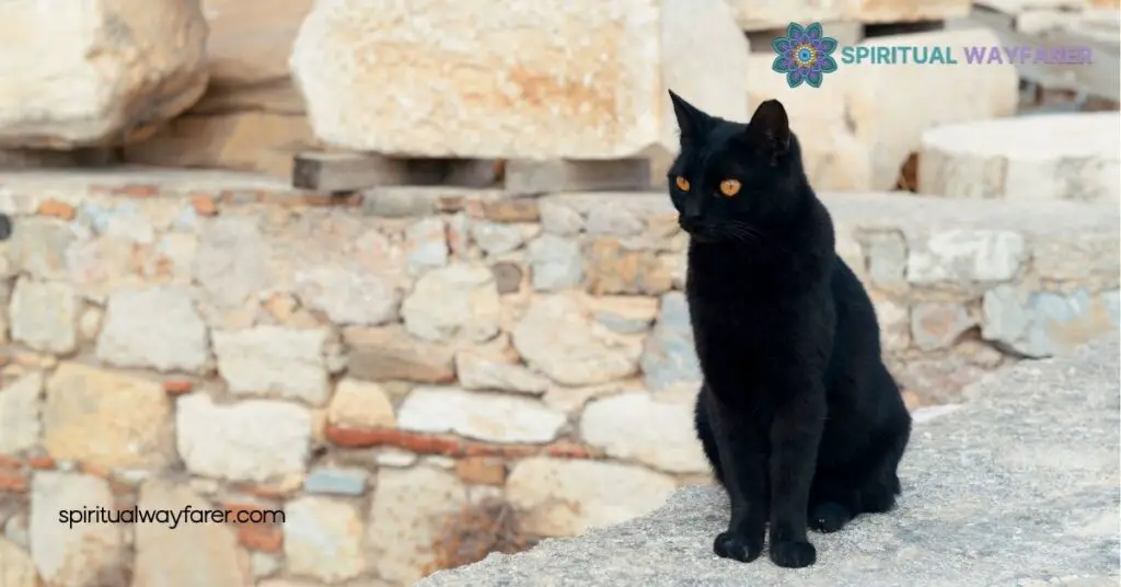 Black Cat at Your Door? Discover Its Spiritual Meaning 2 Black Cats and Doorways in Spirituality