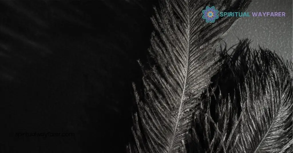 Black White Feather Biblical Meaning: Unlock Their Spiritual Significance Today 2 Black Feather Biblical Meaning