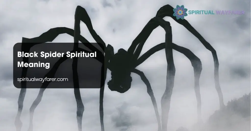 Black Spider Spiritual Meaning