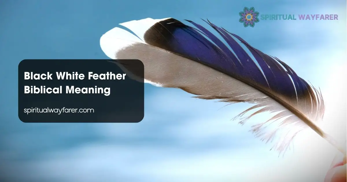 Black White Feather Biblical Meaning