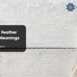 Black White Feather Symbolism Meanings