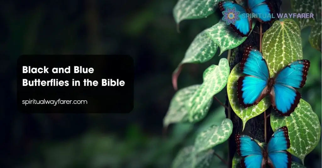 Black and Blue Butterflies in the Bible